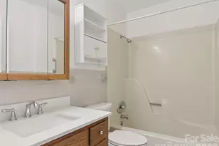 927 Ladson Rd, Mills River, NC 28759 - Photo 25
