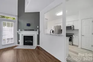 14721 Lions Pride Ct, Charlotte, NC 28273 - Photo 9