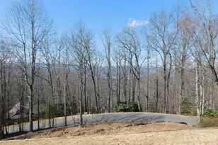 1064 Skye Dr, Pisgah Forest, NC 28768 - Photo 23