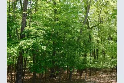 1064 Skye Drive, Pisgah Forest, NC 28768 - Photo 19