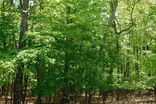 1064 Skye Dr, Pisgah Forest, NC 28768 - Photo 19