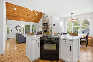 612 Christian Creek Rd, Swannanoa, NC 28778 - Photo 13