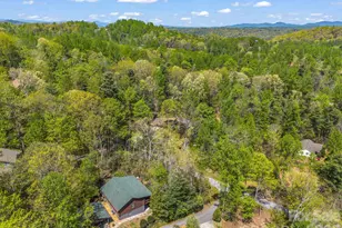 31 Firefly Ln, Saluda, NC 28773 - Photo 41