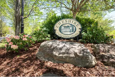 4 Fitzgerald Road, Black Mountain, NC 28711 - Photo 25