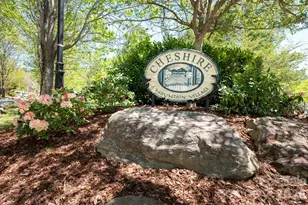 4 Fitzgerald Rd, Black Mountain, NC 28711 - Photo 35