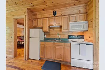 299 Blue Ridge Parkway, Bryson City, NC 28713 - Photo 11