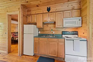 299 Blue Ridge Pkwy, Bryson City, NC 28713 - Photo 11
