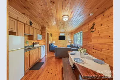 299 Blue Ridge Parkway, Bryson City, NC 28713 - Photo 9
