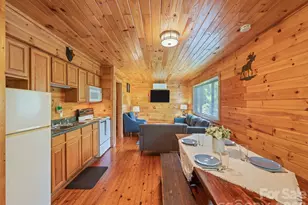 299 Blue Ridge Pkwy, Bryson City, NC 28713 - Photo 9