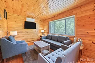 299 Blue Ridge Pkwy, Bryson City, NC 28713 - Photo 5