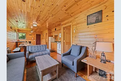 299 Blue Ridge Parkway, Bryson City, NC 28713 - Photo 3