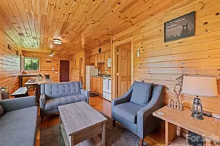 299 Blue Ridge Pkwy, Bryson City, NC 28713 - Photo 3