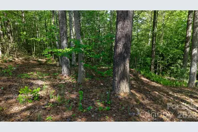 105 Beacon Ridge Drive, Connelly Springs, NC 28612 - Photo 19