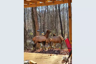 16 Standing Rock Ridge, Maggie Valley, NC 28751 - Photo 17