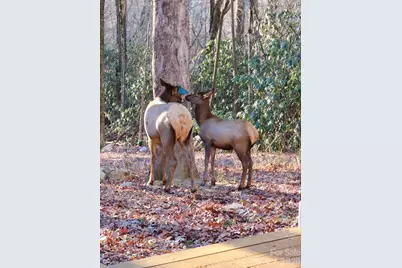 16 Standing Rock Ridge, Maggie Valley, NC 28751 - Photo 15