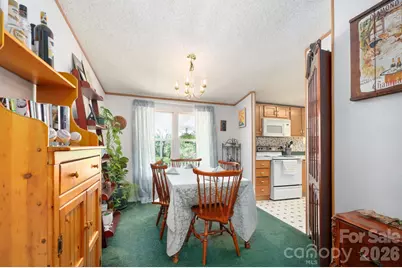 66 Green Oak Road, Asheville, NC 28804 - Photo 17