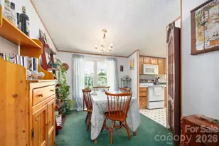 66 Green Oak Rd, Asheville, NC 28804 - Photo 17