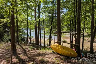 6704 Montgomery Rd, Lake Wylie, SC 29710 - Photo 39