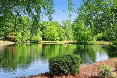 517 Cranborne Chase None, Fort Mill, SC 29708 - Photo 33