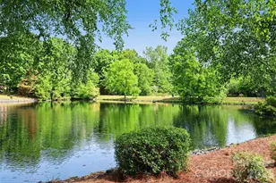 517 Cranborne Chase None, Fort Mill, SC 29708 - Photo 33