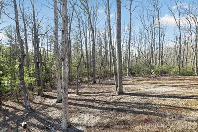 3757 Laurel Park Highway, Hendersonville, NC 28739 - Photo 5