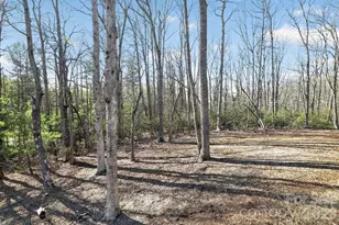 3757 Laurel Park Hwy, Hendersonville, NC 28739 - Photo 5