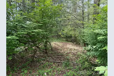207 Ewbank Road, Etowah, NC 28729 - Photo 19