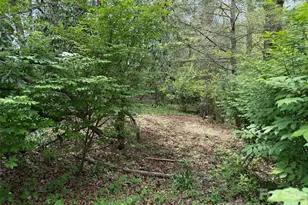 207 Ewbank Rd, Etowah, NC 28729 - Photo 19