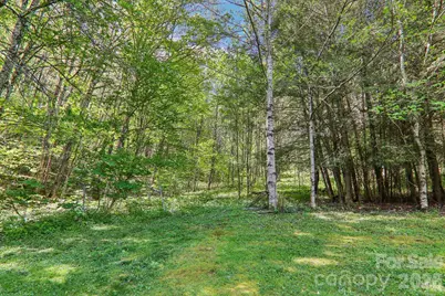 129 Cash Phillips Drive, Mars Hill, NC 28754 - Photo 35