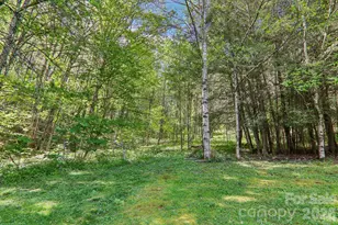 129 Cash Phillips Dr, Mars Hill, NC 28754 - Photo 35