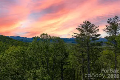693 Tea House Drive #905, Asheville, NC 28803 - Photo 9