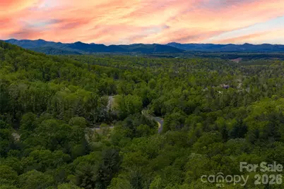 693 Tea House Drive #905, Asheville, NC 28803 - Photo 7