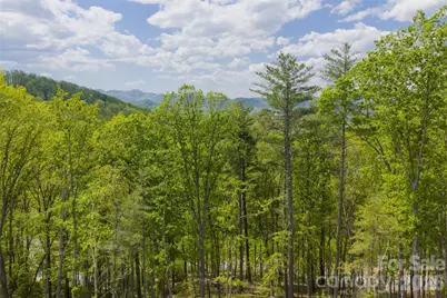 693 Tea House Drive #905, Asheville, NC 28803 - Photo 3
