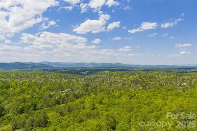 693 Tea House Drive #905, Asheville, NC 28803 - Photo 5