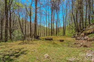 426 Cook Town Rd, Bakersville, NC 28705 - Photo 41