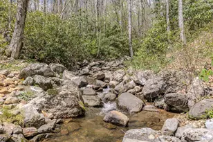426 Cook Town Rd, Bakersville, NC 28705 - Photo 45