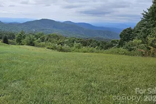 377 Grand Highland Dr, Hendersonville, NC 28792 - Photo 1