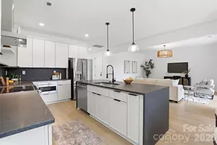 2818 Dogwood Ave, Charlotte, NC 28206 - Photo 19