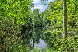 174 Rock Ridge, Lake Lure, NC 28746 - Photo 41