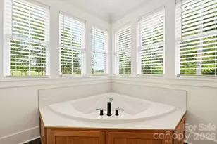 2855 Long Run Farm Rd, Mount Pleasant, NC 28124 - Photo 21