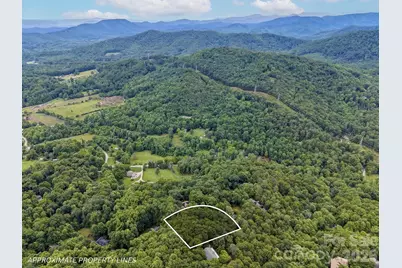 50 Cedar Drive #274, Mills River, NC 28759 - Photo 3