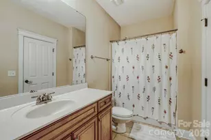 183 Lavender Bloom Loop, Mooresville, NC 28115 - Photo 31