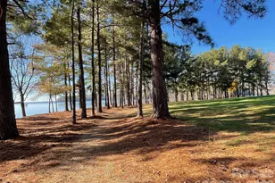 183 Lavender Bloom Loop, Mooresville, NC 28115 - Photo 37