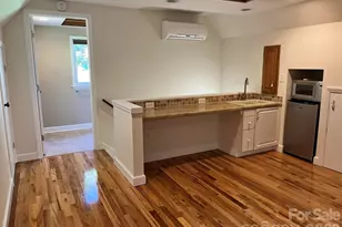29 Small Mountain Dr, Asheville, NC 28805 - Photo 33