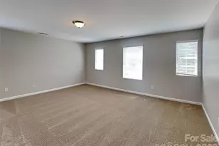 12814 Swann Branch Dr, Charlotte, NC 28273 - Photo 9