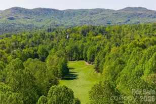7 Cooper Cove S, Hendersonville, NC 28739 - Photo 45