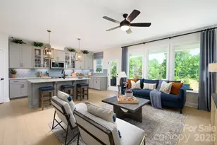 284 Alluvium Ln, Waxhaw, NC 28173 - Photo 5