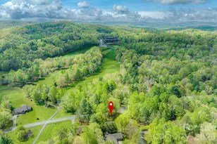 22 Dalonigei Ct, Brevard, NC 28712 - Photo 41