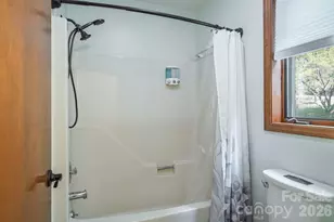 22 Dalonigei Ct, Brevard, NC 28712 - Photo 25
