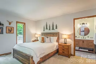 22 Dalonigei Ct, Brevard, NC 28712 - Photo 23